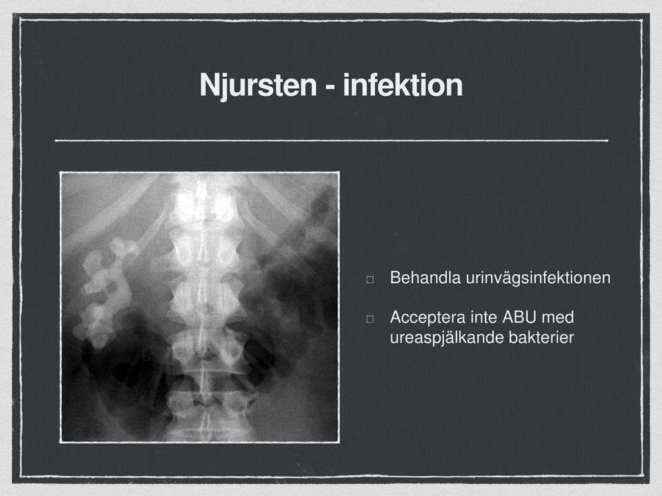 urinvägsinfektionen