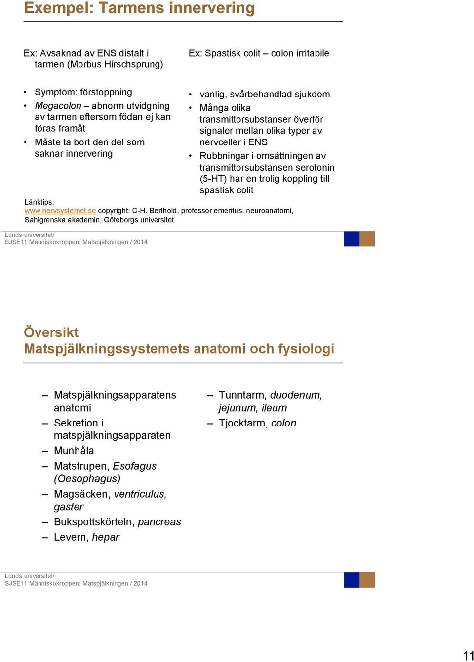 omsättningen av transmittorsubstansen serotonin (5-HT) har en trolig koppling till spastisk colit Länktips: www.nervsystemet.se copyright: C-H.