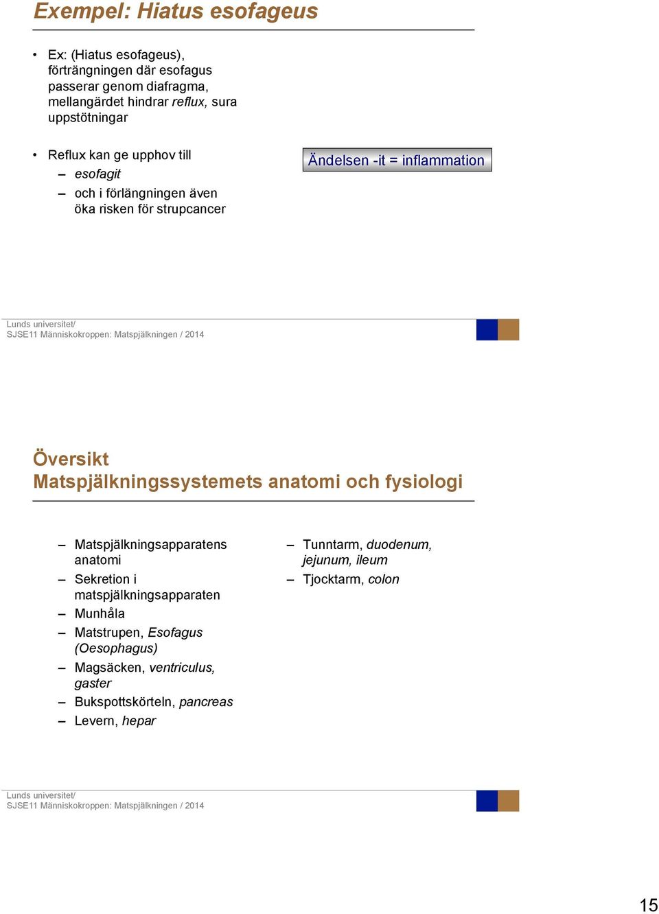 Matspjälkningssystemets anatomi och fysiologi Matspjälkningsapparatens anatomi Sekretion i matspjälkningsapparaten Munhåla Matstrupen,