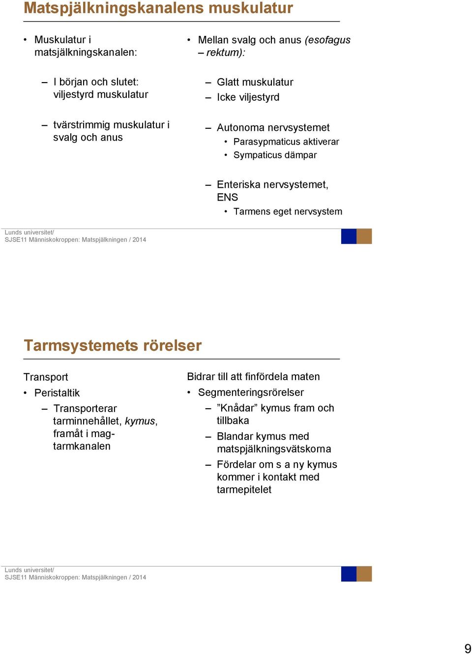 nervsystemet, ENS Tarmens eget nervsystem Tarmsystemets rörelser Transport Peristaltik Transporterar tarminnehållet, kymus, framåt i magtarmkanalen Bidrar till