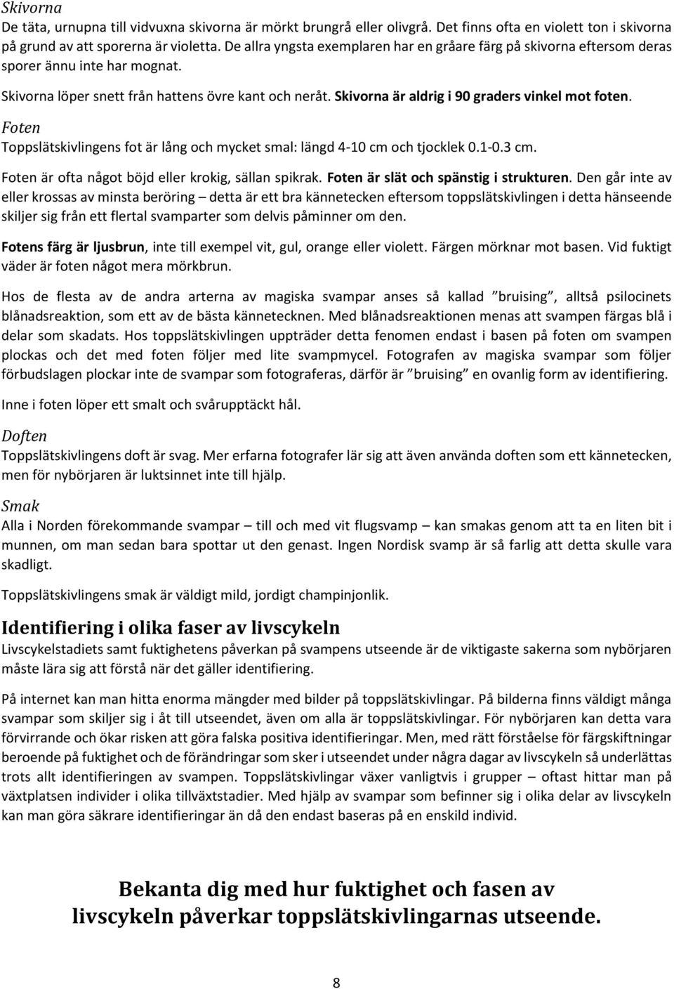 Skivorna är aldrig i 90 graders vinkel mot foten. Foten Toppslätskivlingens fot är lång och mycket smal: längd 4-10 cm och tjocklek 0.1-0.3 cm. Foten är ofta något böjd eller krokig, sällan spikrak.