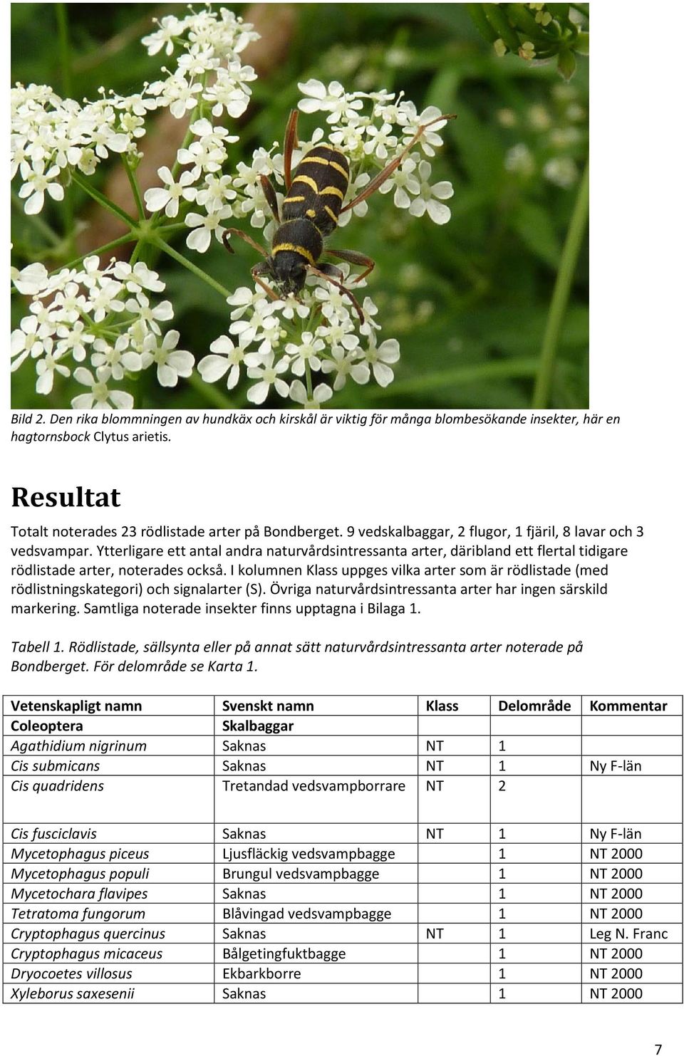 I kolumnen Klass uppges vilka arter som är rödlistade (med rödlistningskategori) och signalarter (S). Övriga naturvårdsintressanta arter har ingen särskild markering.