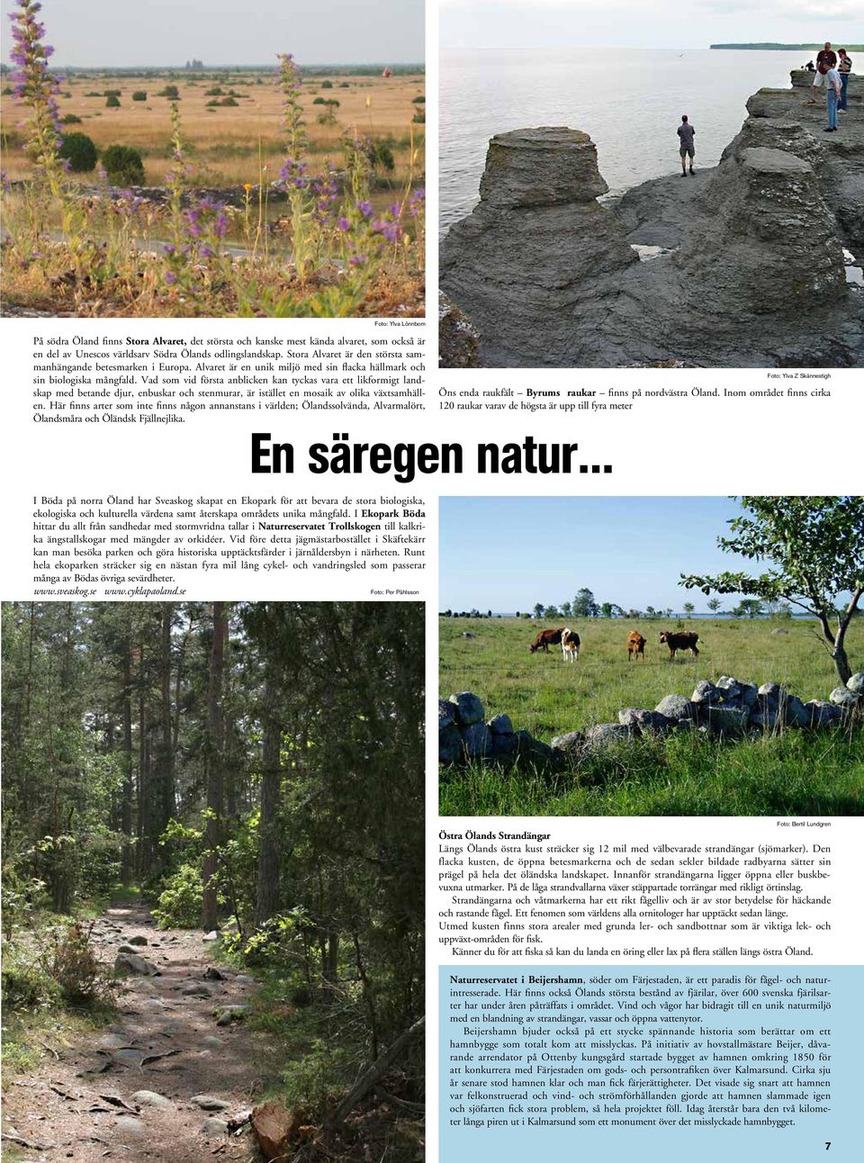 Vad som vid första anblicken kan tyckas vara ett likformigt landskap med betande djur, enbuskar och stenmurar, är istället en mosaik av olika växtsamhällen.