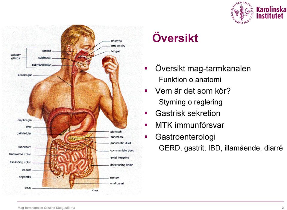 Styrning o reglering Gastrisk sekretion MTK immunförsvar