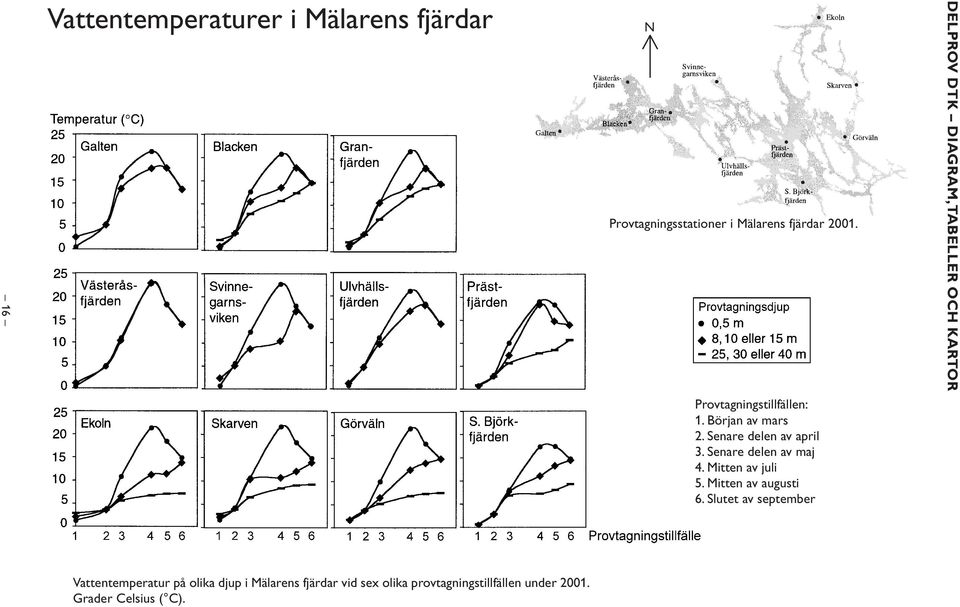 Senare delen av april 3. Senare delen av maj 4. Mitten av juli 5. Mitten av augusti 6.