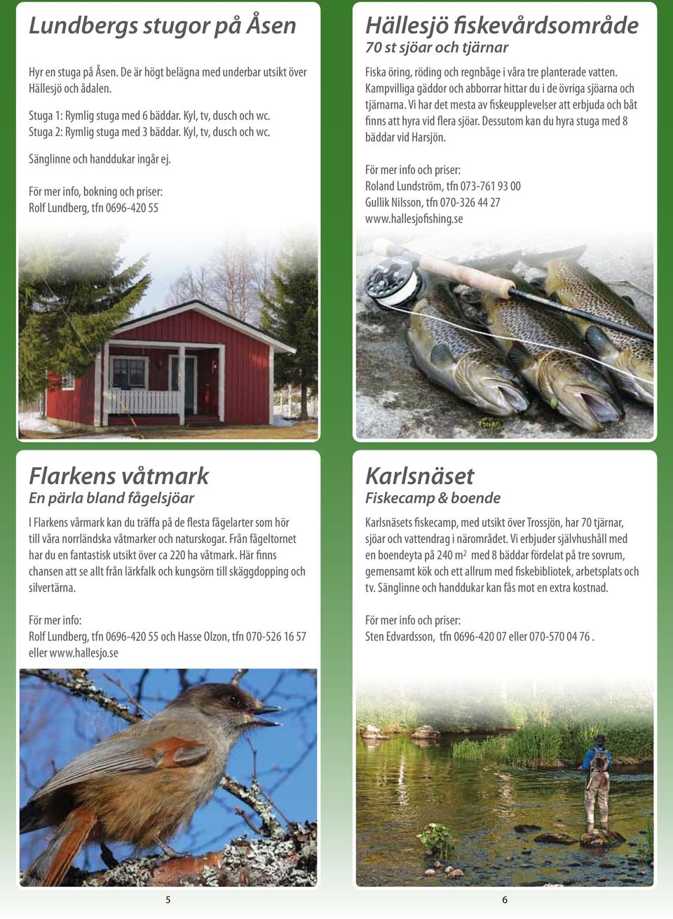 För mer info, bokning och priser: Rolf Lundberg, tfn 0696-420 55 Hällesjö fiskevårdsområde 70 st sjöar och tjärnar Fiska öring, röding och regnbåge i våra tre planterade vatten.