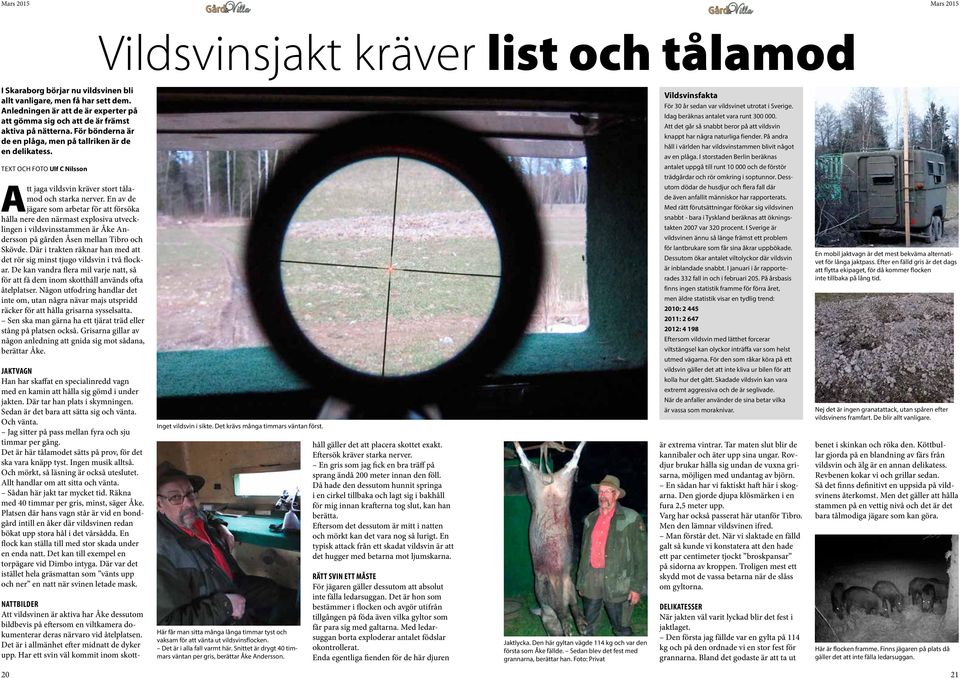 text och Foto Ulf C Nilsson Att jaga vildsvin kräver stort tålamod och starka nerver.