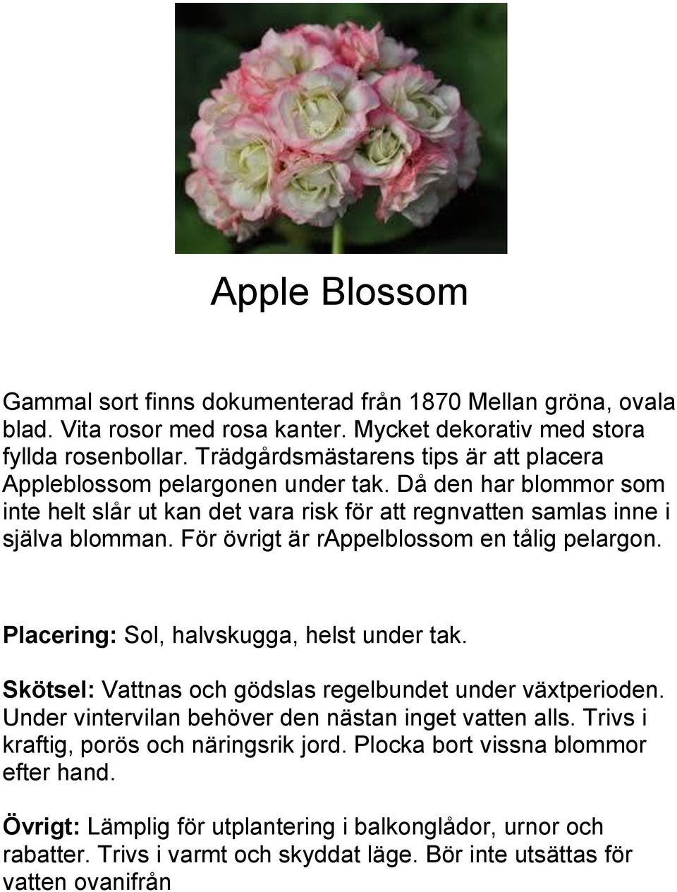 Då den har blommor som inte helt slår ut kan det vara risk för att regnvatten samlas inne i själva blomman. För övrigt är rappelblossom en tålig pelargon.