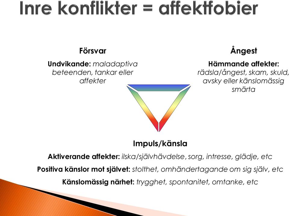 affekter: ilska/självhävdelse, sorg, intresse, glädje, etc Positiva känslor mot självet: