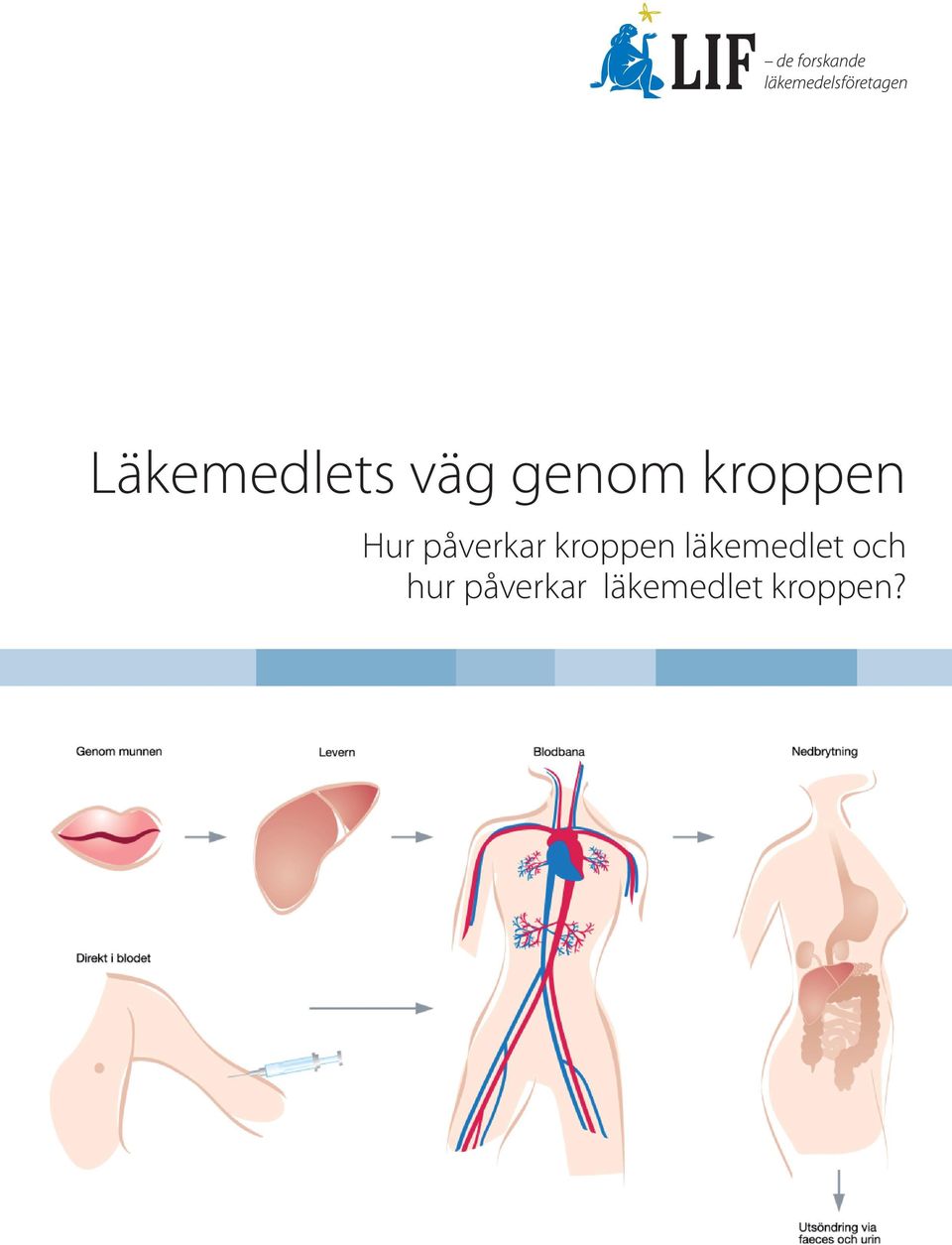 kroppen läkemedlet och