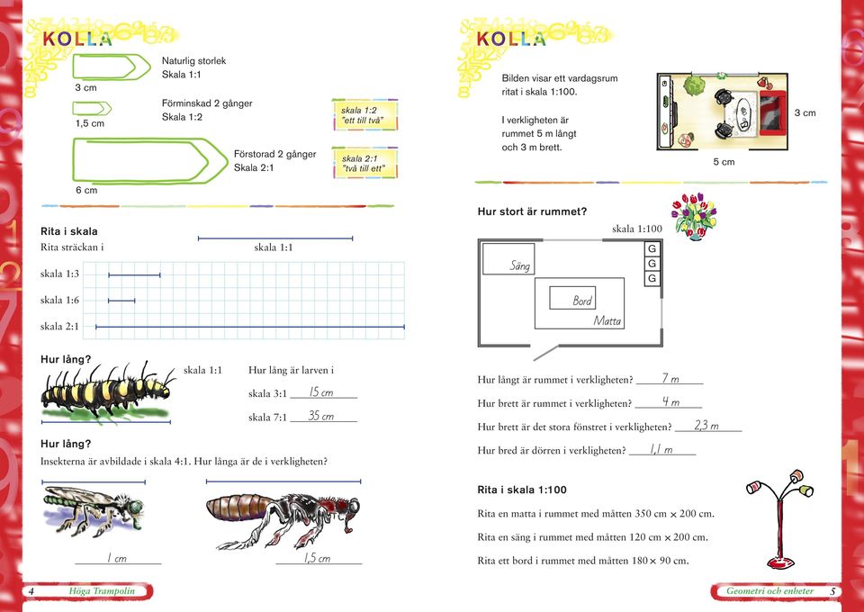 skala :00 Rita i skala Rita sträckan i skala : Säng skala : ord skala :6 Matta skala : Hur lång? G G G skala : Hur lång är larven i skala : skala 7: Hur lång? Insekterna är avbildade i skala :.