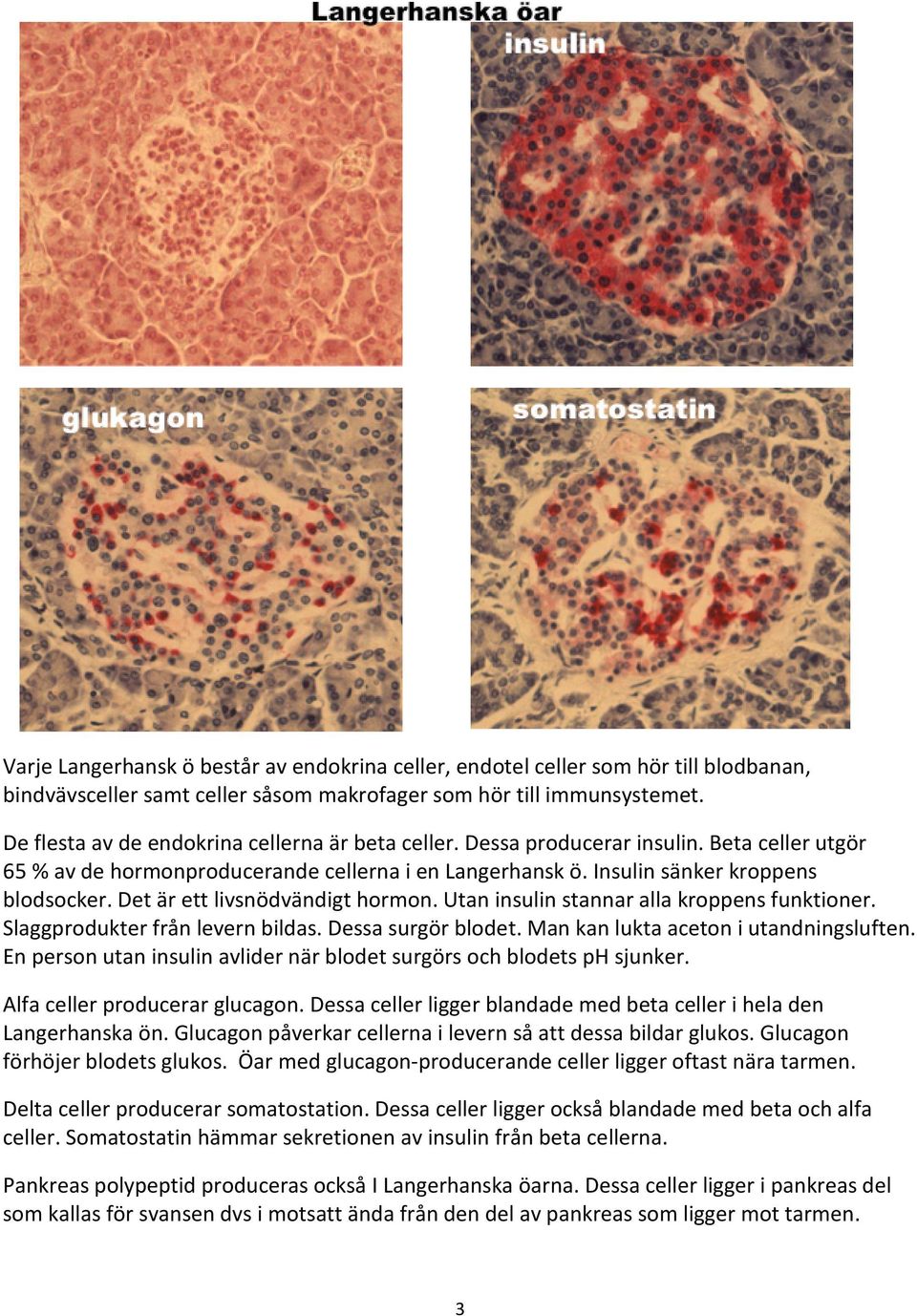 Det är ett livsnödvändigt hormon. Utan insulin stannar alla kroppens funktioner. Slaggprodukter från levern bildas. Dessa surgör blodet. Man kan lukta aceton i utandningsluften.