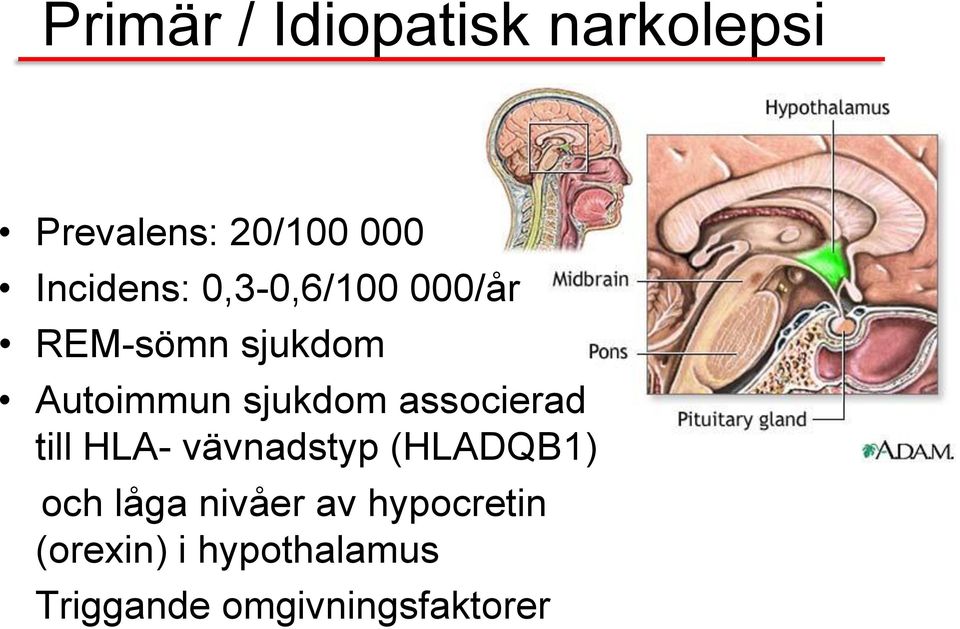 sjukdom associerad till HLA- vävnadstyp (HLADQB1) och låga