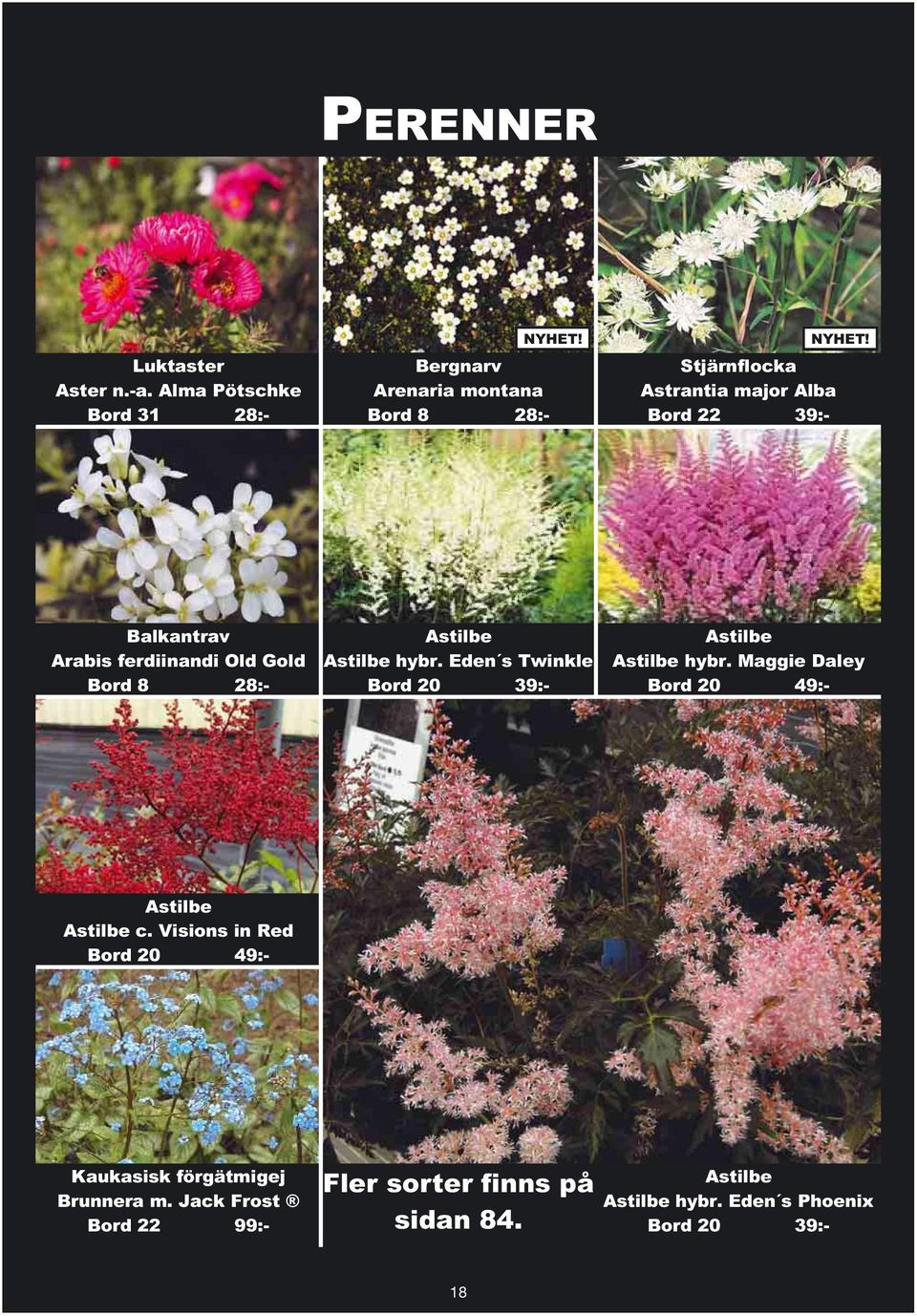 Balkantrav Arabis ferdiinandi Old Gold Bord 8 28:- Astilbe Astilbe hybr.