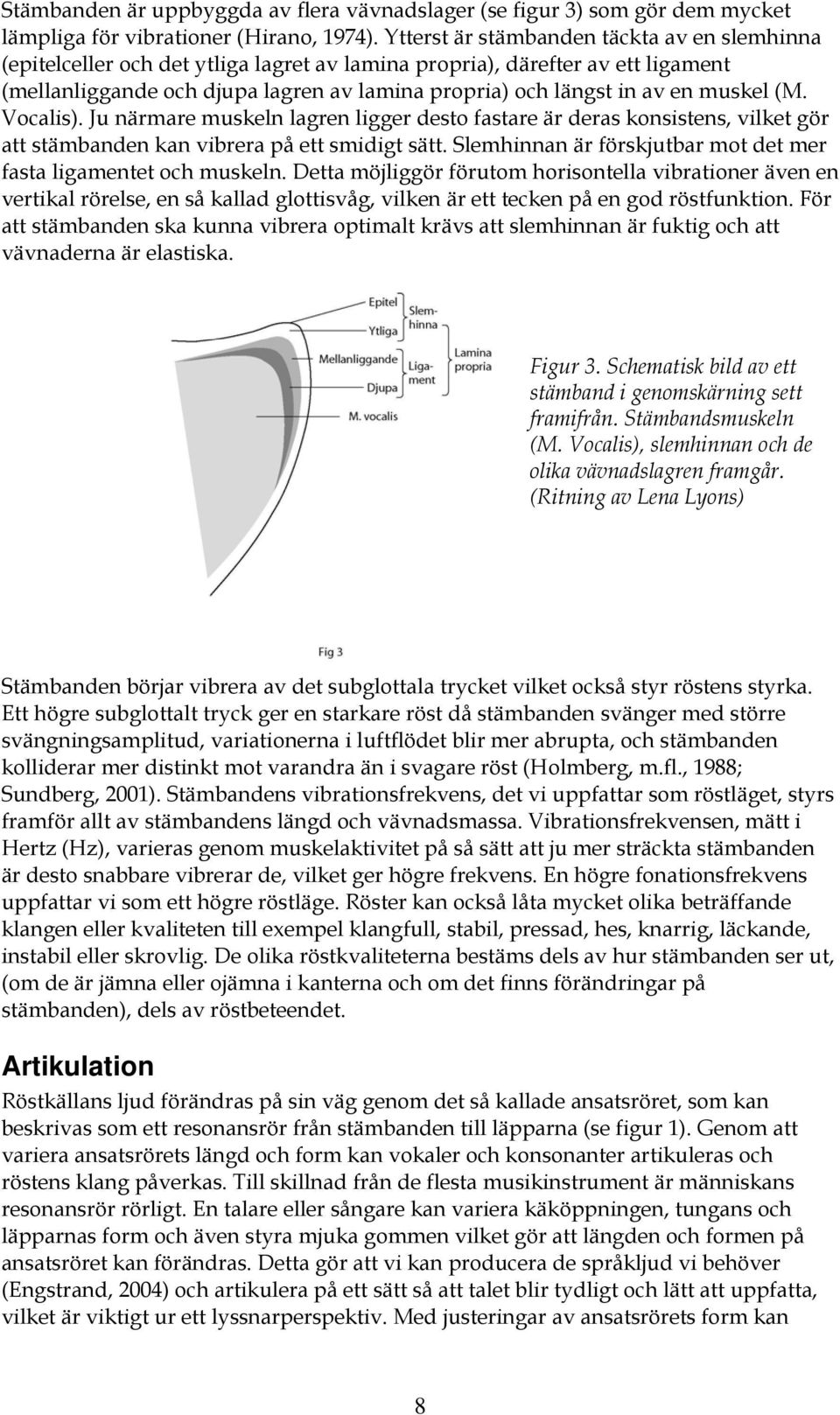 muskel (M. Vocalis). Ju närmare muskeln lagren ligger desto fastare är deras konsistens, vilket gör att stämbanden kan vibrera på ett smidigt sätt.