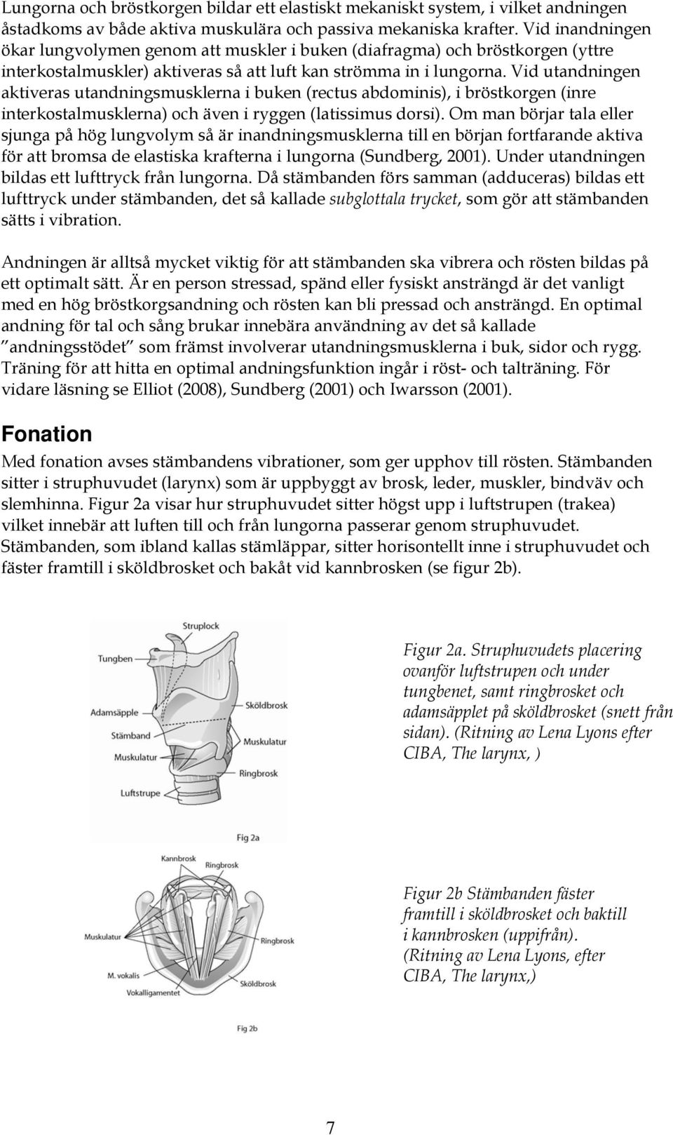 Vid utandningen aktiveras utandningsmusklerna i buken (rectus abdominis), i bröstkorgen (inre interkostalmusklerna) och även i ryggen (latissimus dorsi).