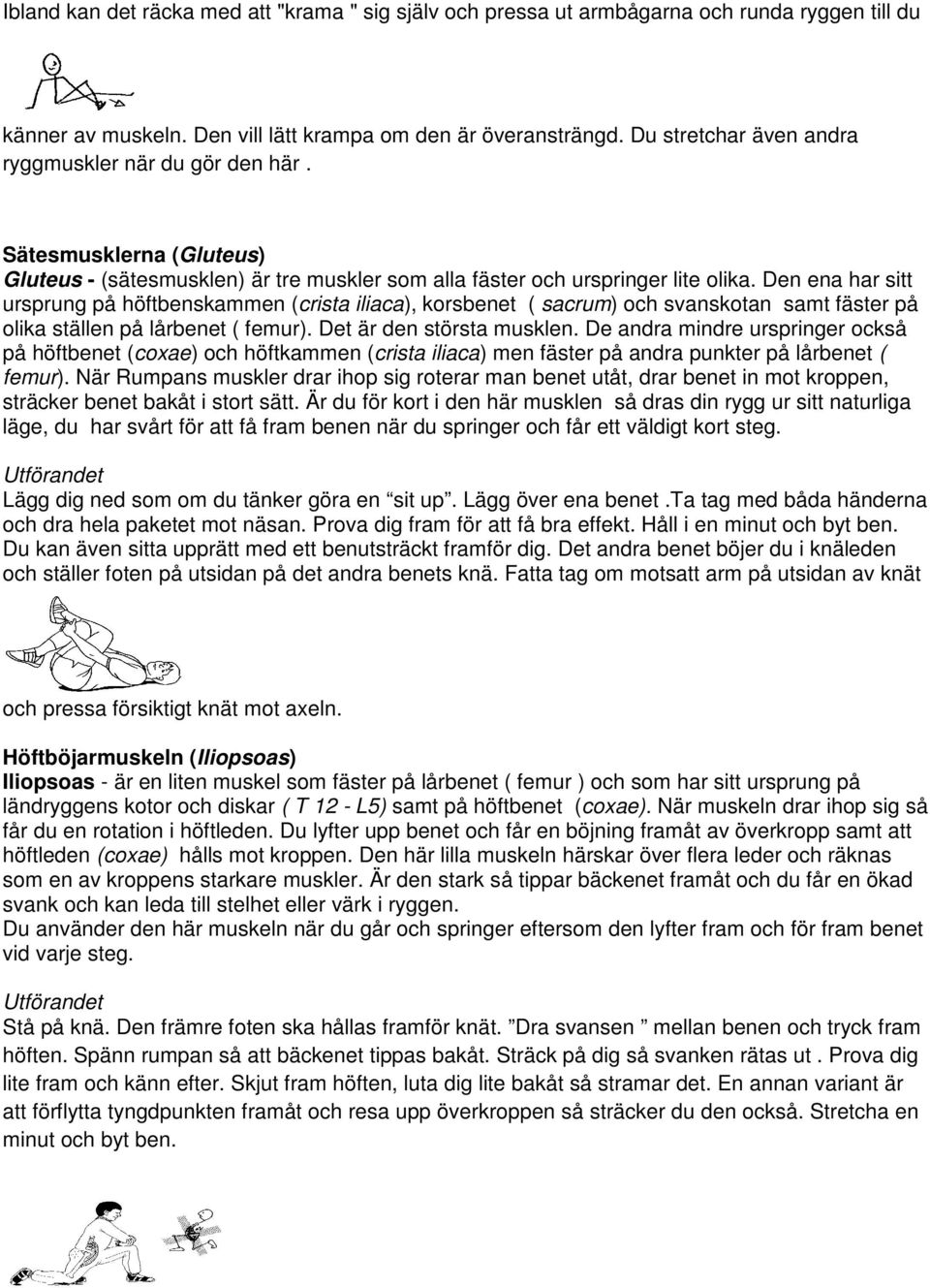 Den ena har sitt ursprung på höftbenskammen (crista iliaca), korsbenet ( sacrum) och svanskotan samt fäster på olika ställen på lårbenet ( femur). Det är den största musklen.