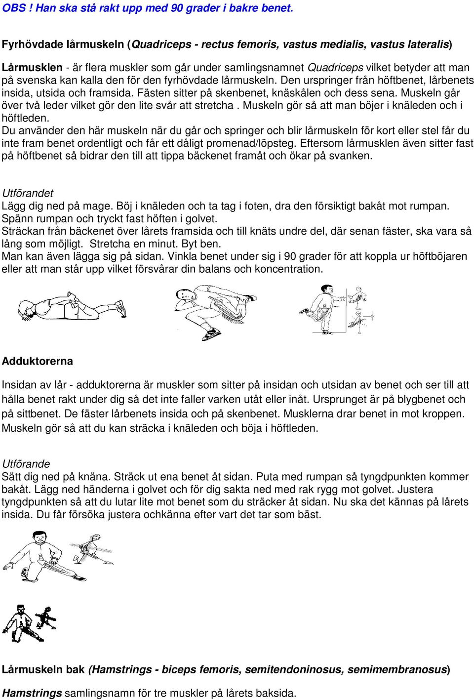 kalla den för den fyrhövdade lårmuskeln. Den urspringer från höftbenet, lårbenets insida, utsida och framsida. Fästen sitter på skenbenet, knäskålen och dess sena.