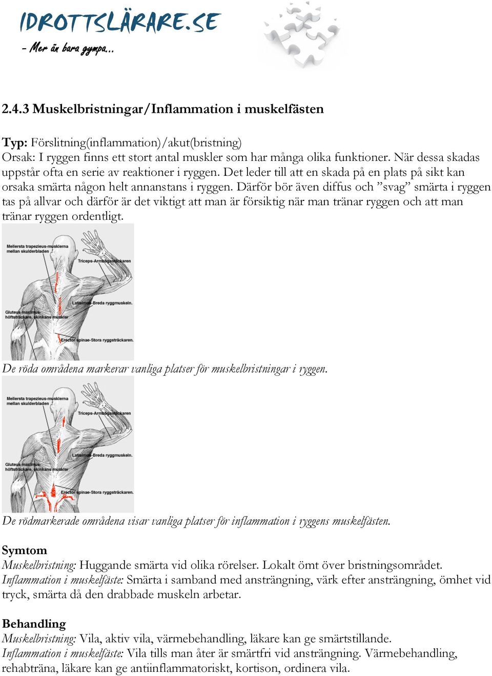 Därför bör även diffus och svag smärta i ryggen tas på allvar och därför är det viktigt att man är försiktig när man tränar ryggen och att man tränar ryggen ordentligt.