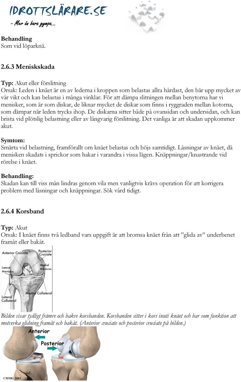 För att dämpa slitningen mellan benytorna har vi menisker, som är som diskar, de liknar mycket de diskar som finns i ryggraden mellan kotorna, som dämpar när leden trycks ihop.