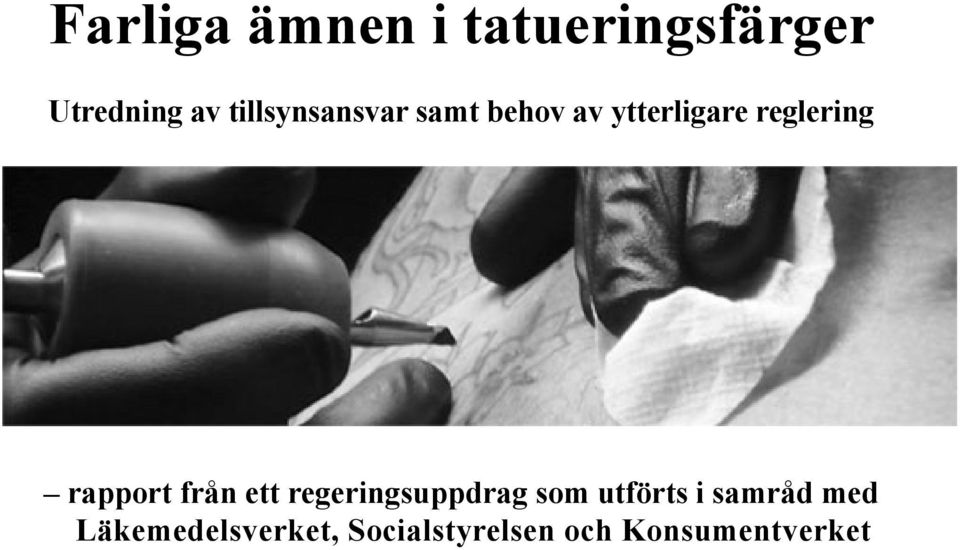 rapport från ett regeringsuppdrag som utförts i