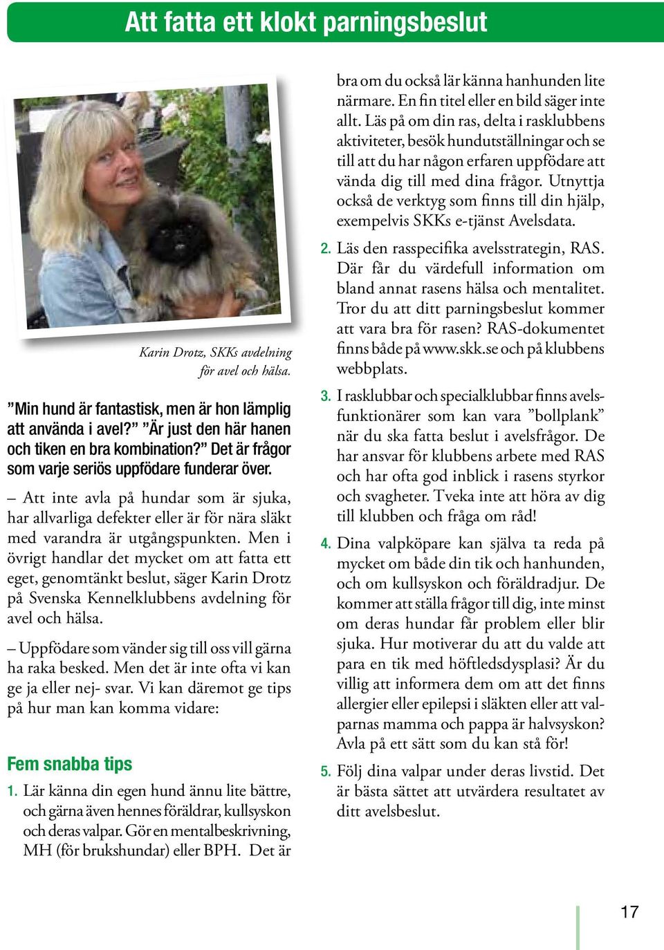 Men i övrigt handlar det mycket om att fatta ett eget, genomtänkt beslut, säger Karin Drotz på Svenska Kennelklubbens avdelning för avel och hälsa.