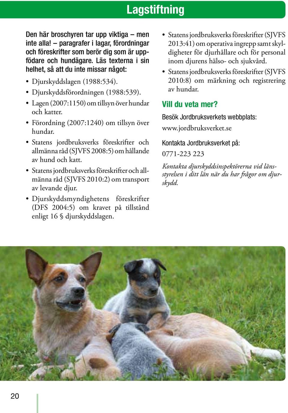 Förordning (2007:1240) om tillsyn över hundar. Statens jordbruksverks föreskrifter och allmänna råd (SJVFS 2008:5) om hållande av hund och katt.