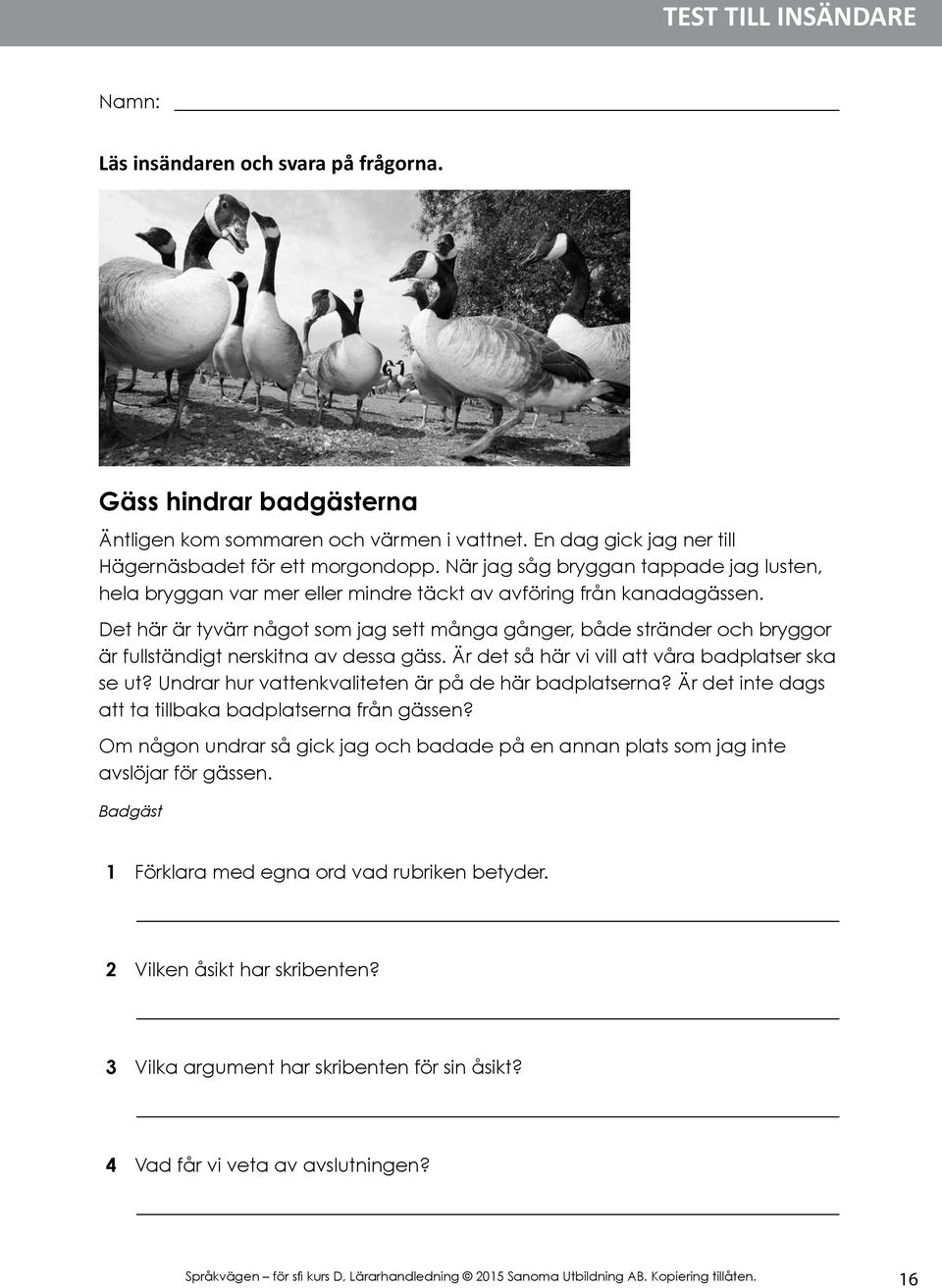 Det här är tyvärr något som jag sett många gånger, både stränder och bryggor är fullständigt nerskitna av dessa gäss. Är det så här vi vill att våra badplatser ska se ut?