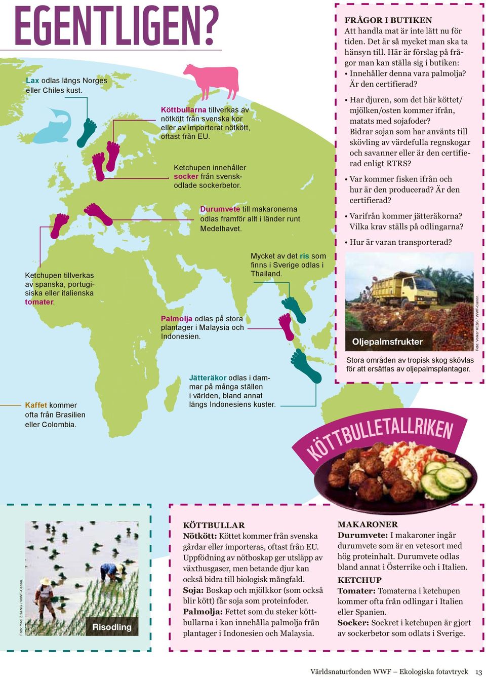 Durumvete till makaronerna odlas framför allt i länder runt Medelhavet. Palmolja odlas på stora plantager i Malaysia och Indonesien. Mycket av det ris som finns i Sverige odlas i Thailand.