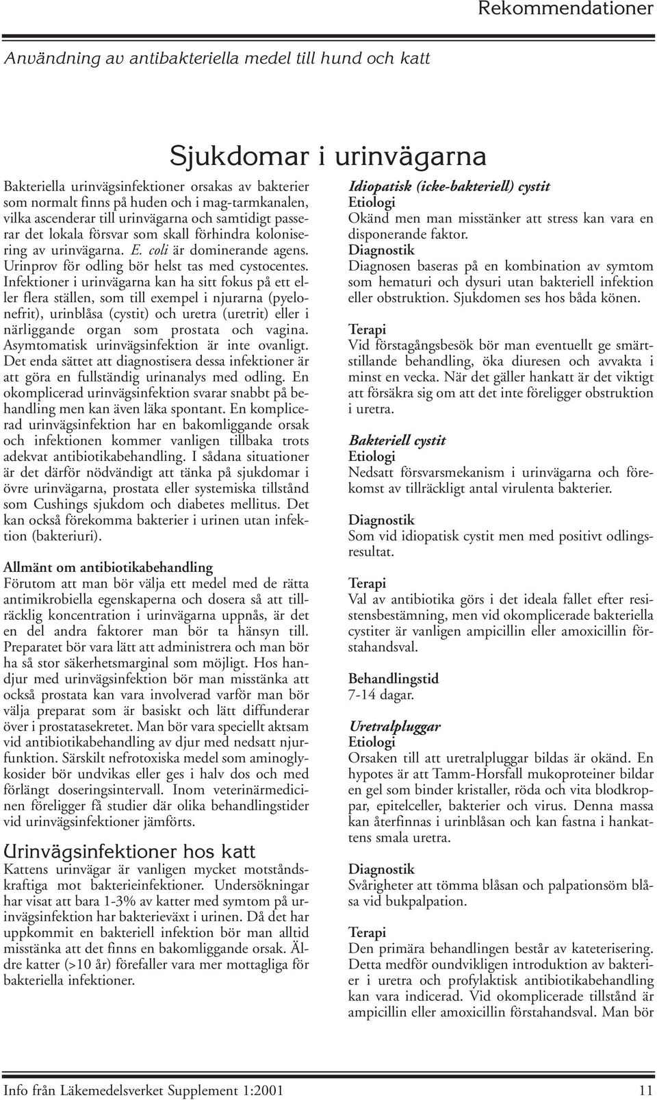 Infektioner i urinvägarna kan ha sitt fokus på ett eller flera ställen, som till exempel i njurarna (pyelonefrit), urinblåsa (cystit) och uretra (uretrit) eller i närliggande organ som prostata och