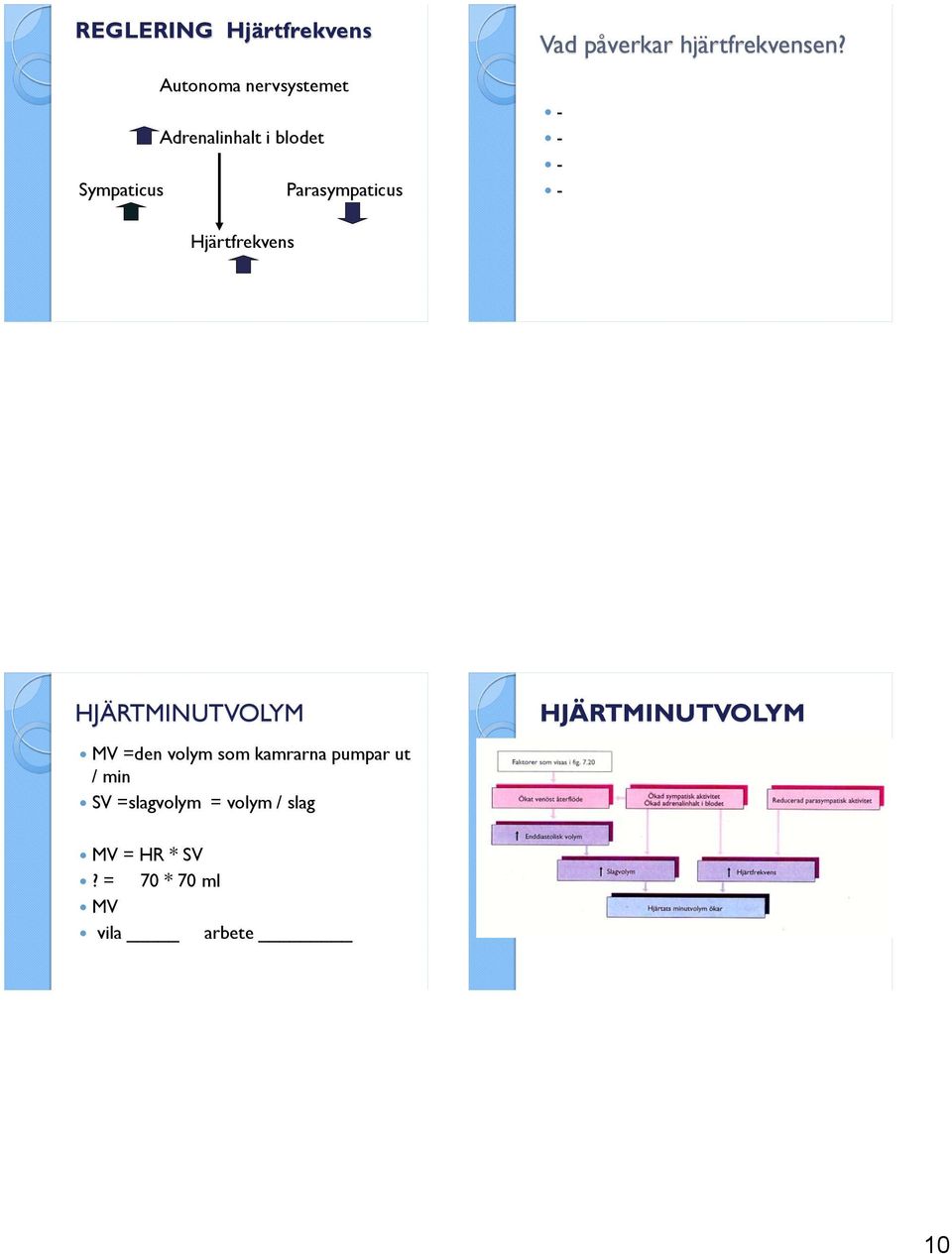 Hjärtfrekvens HJÄRTMINUTVOLYM MV =den volym som kamrarna pumpar ut /