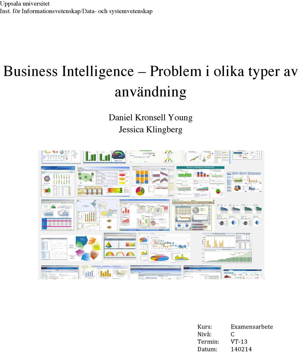 Business Intelligence Problem i olika typer av användning