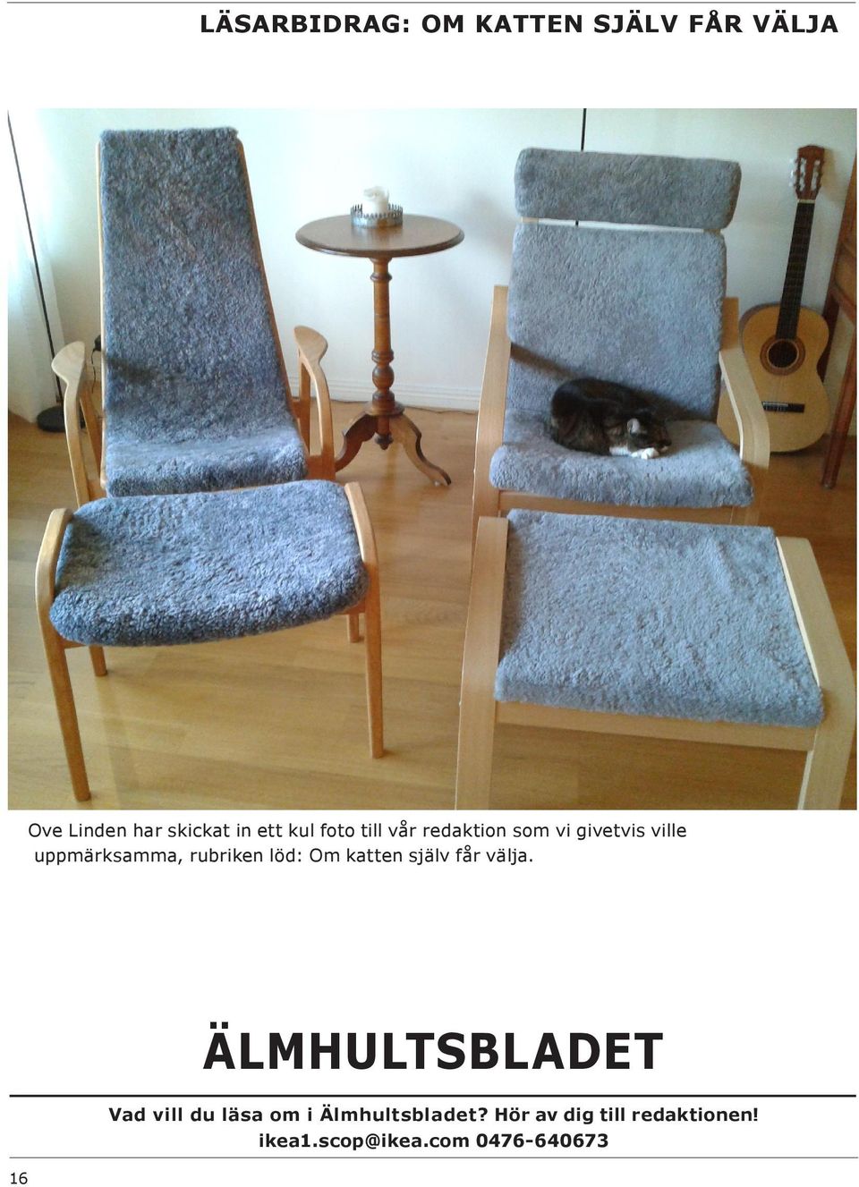 löd: Om katten själv får välja.