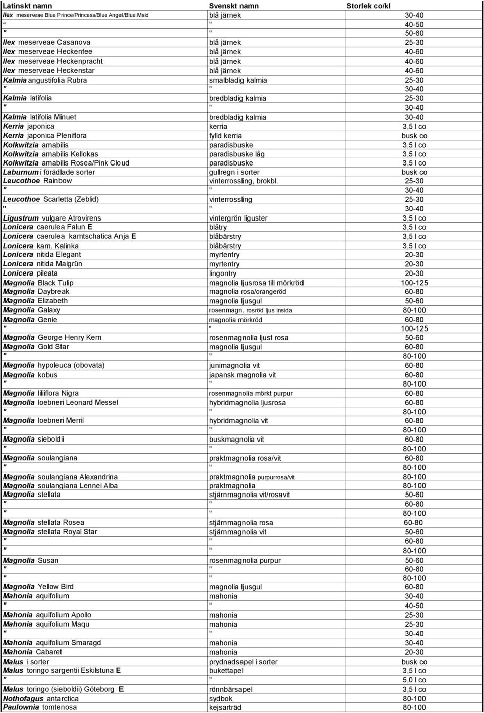 Minuet bredbladig kalmia 30-40 Kerria japonica kerria 3,5 l co Kerria japonica Pleniflora fylld kerria busk co Kolkwitzia amabilis paradisbuske 3,5 l co Kolkwitzia amabilis Kellokas paradisbuske låg