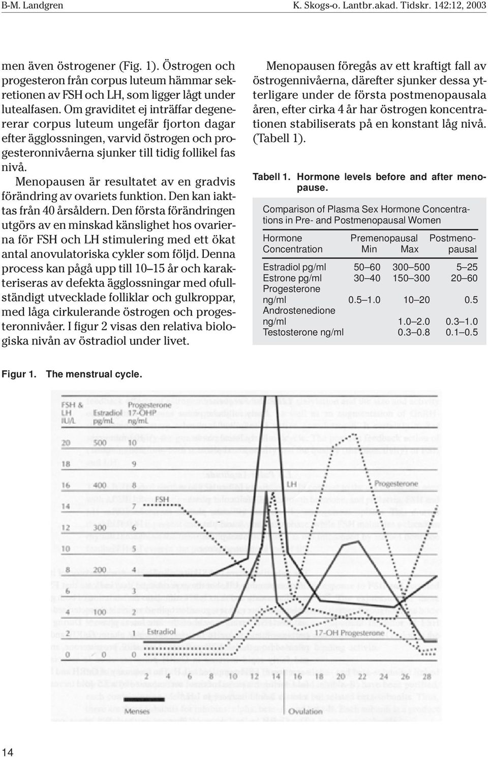 Om graviditet ej inträffar degenererar corpus luteum ungefär fjorton dagar efter ägglossningen, varvid östrogen och progesteronnivåerna sjunker till tidig follikel fas nivå.