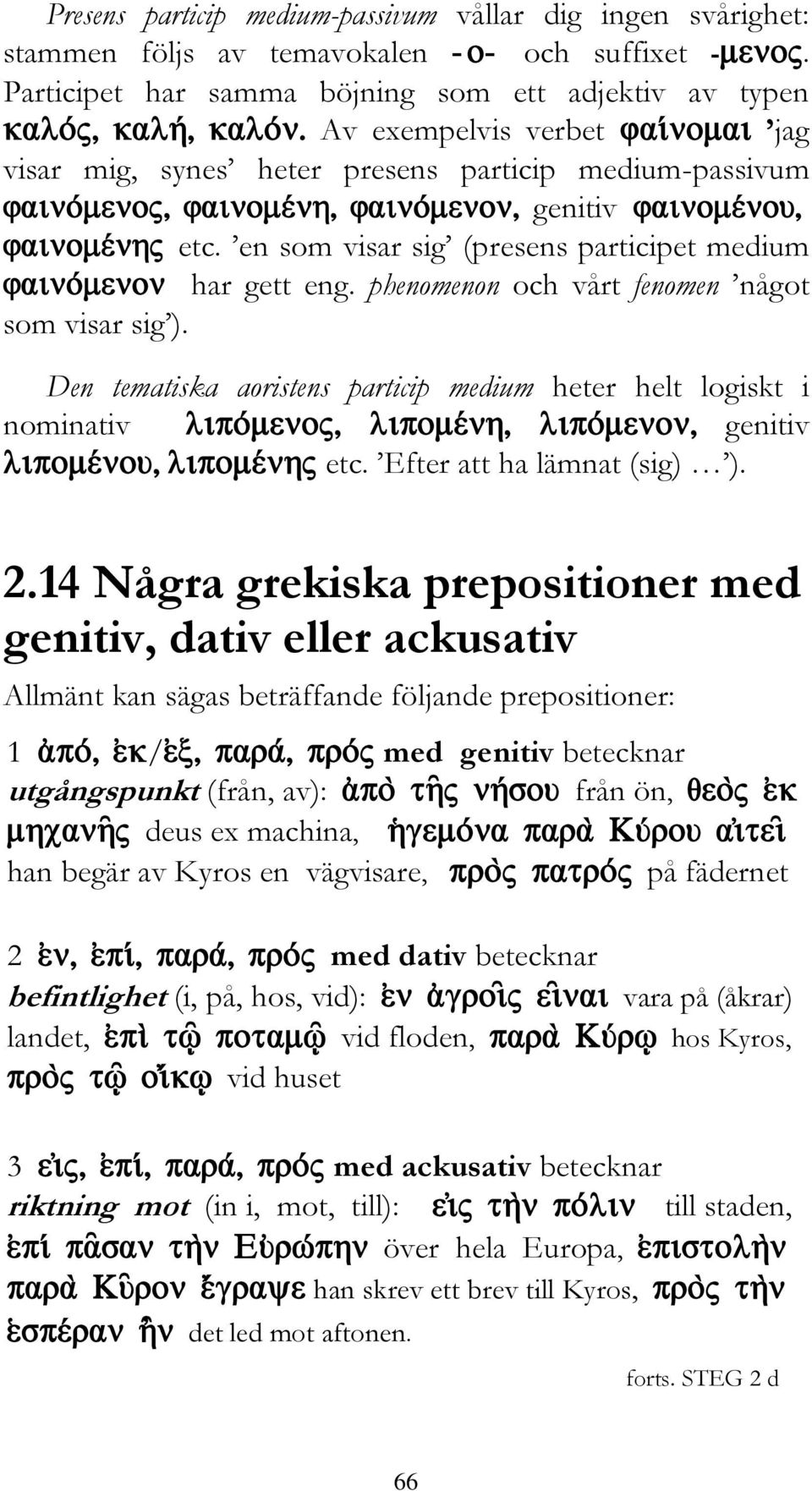 en som visar sig (presens participet medium har gett eng. phenomenon och vårt fenomen något som visar sig ). Den tematiska aoristens particip medium heter helt logiskt i nominativ genitiv etc.