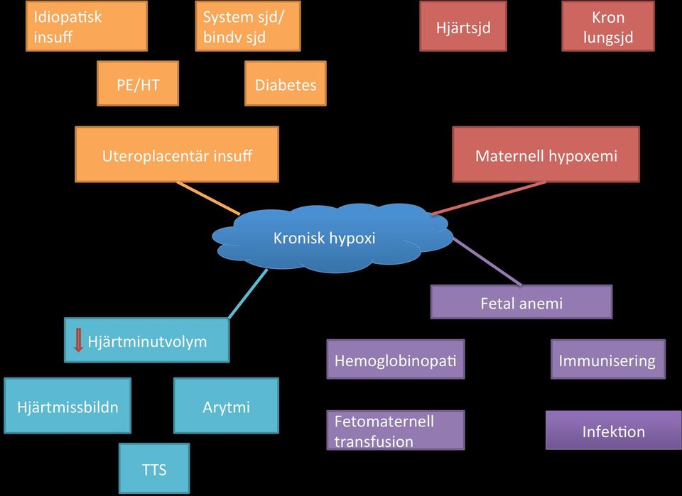 Kronisk hypoxi Hjärtminutvolym Hemoglobinopa/ Fetal anemi