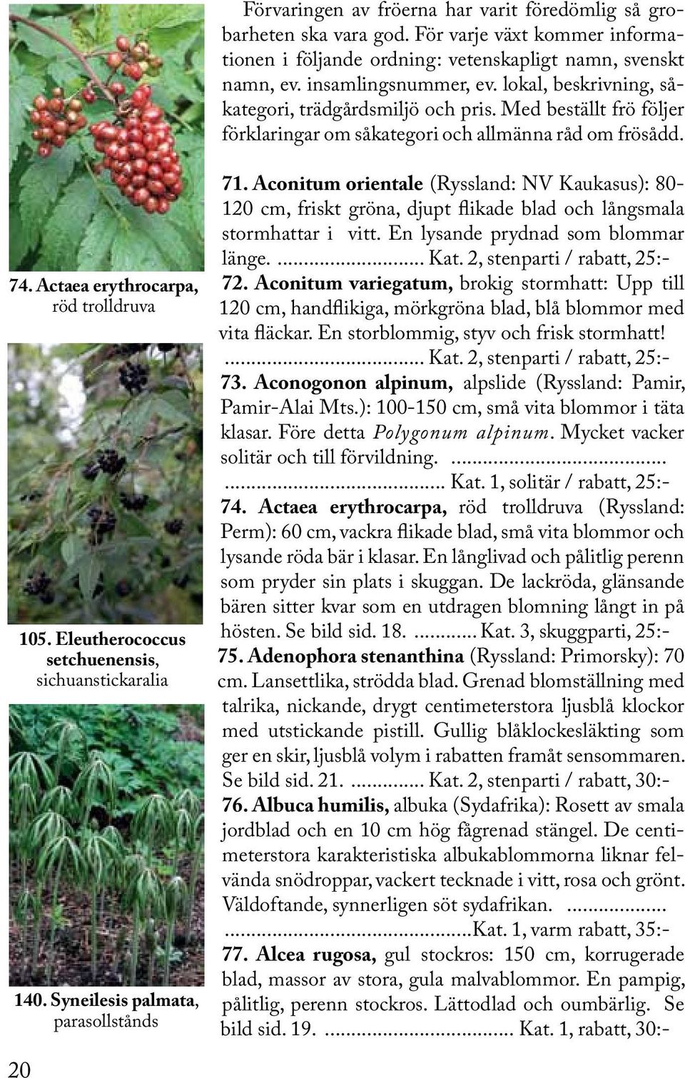 Eleutherococcus setchuenensis, sichuanstickaralia 140. Syneilesis palmata, parasollstånds 71.