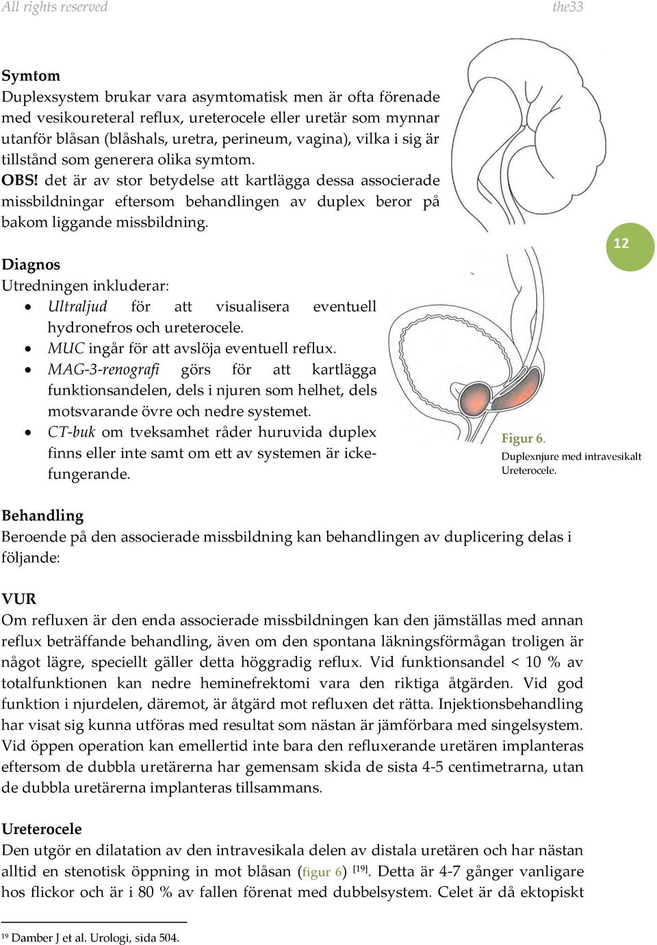 Diagnos Utredningen inkluderar: Ultraljud för att visualisera eventuell hydronefros och ureterocele. MUC ingår för att avslöja eventuell reflux.