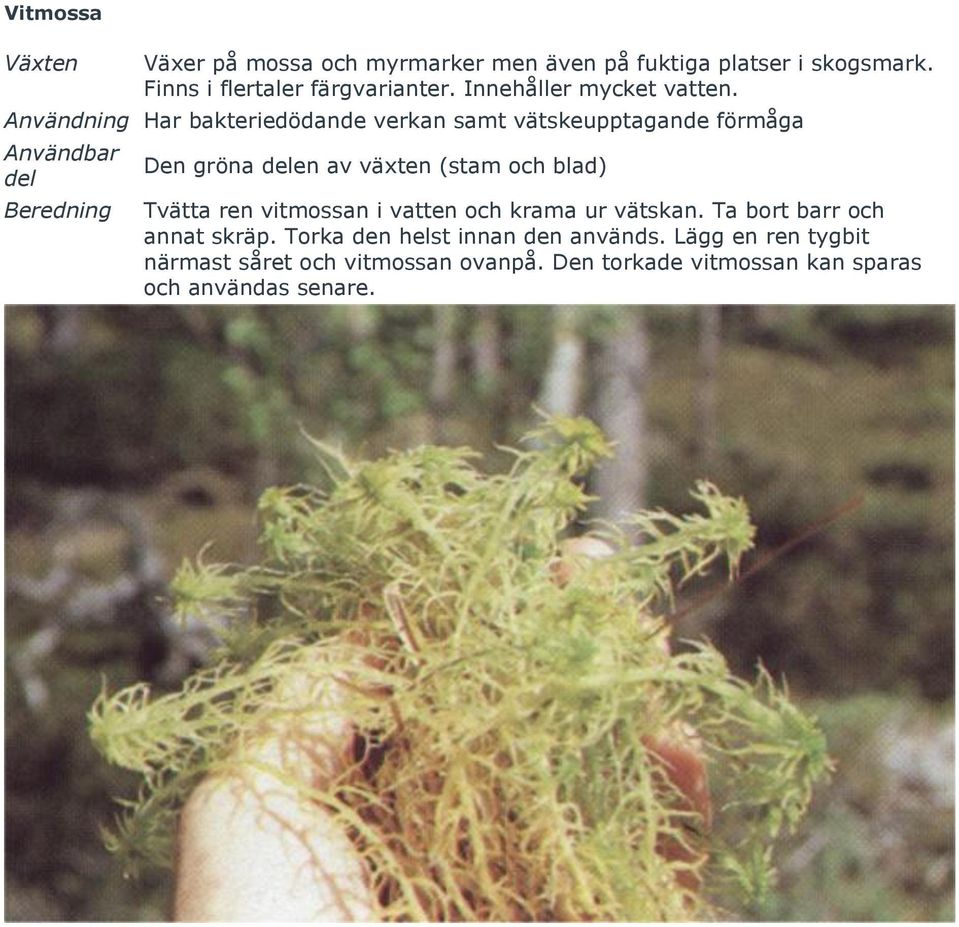 Användning Har bakteriedödande verkan samt vätskeupptagande förmåga Den gröna en av växten (stam och blad) Tvätta ren