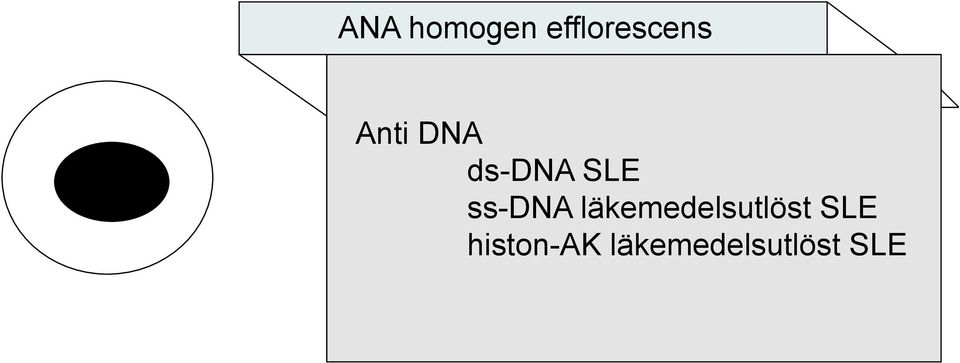 ss-dna läkemedelsutlöst