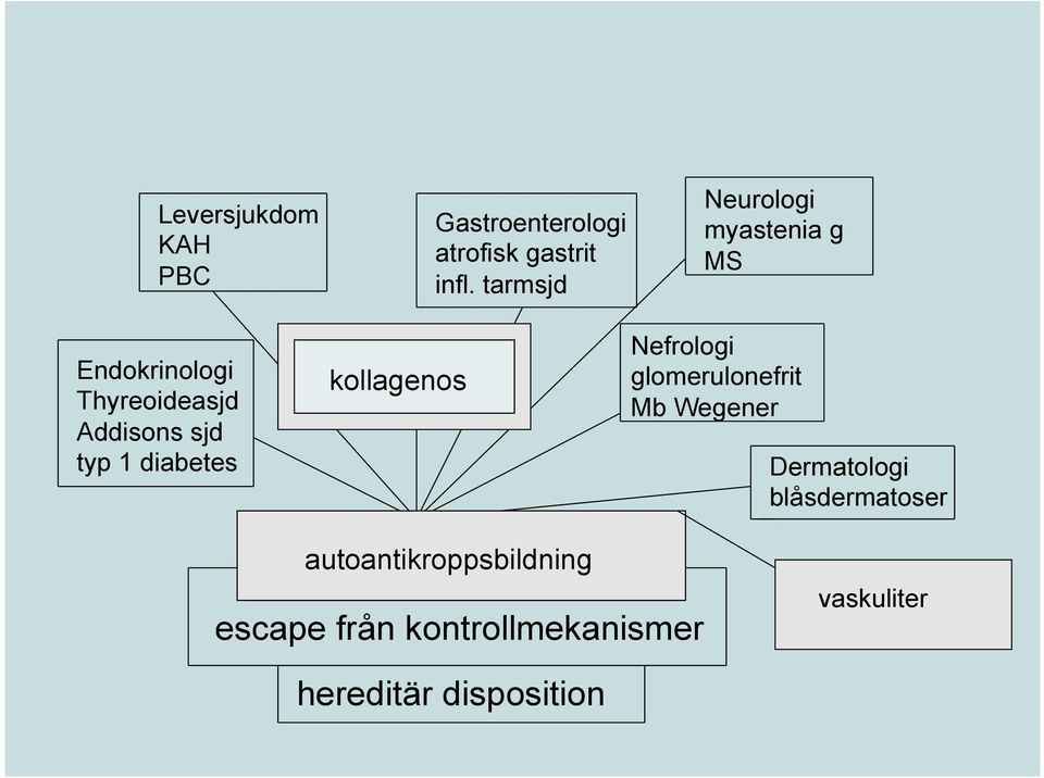 tarmsjd Neurologi myastenia g MS Nefrologi glomerulonefrit Mb Wegener Dermatologi