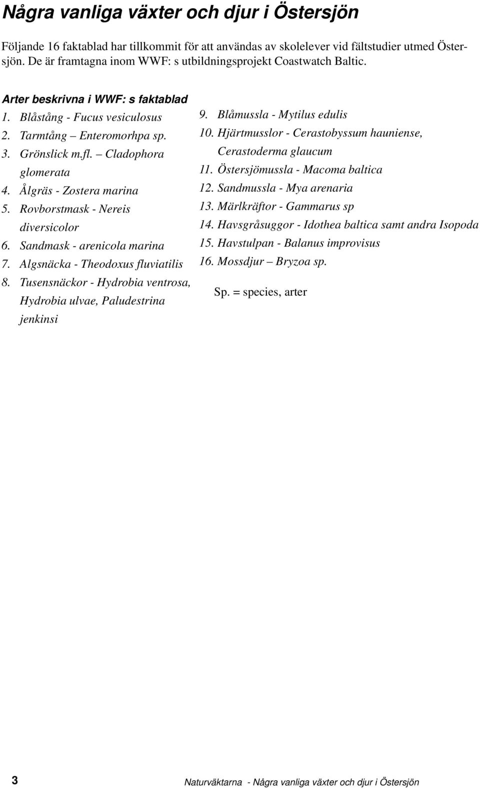 Cladophora glomerata 4. Ålgräs - Zostera marina 5. Rovborstmask - Nereis diversicolor 6. Sandmask - arenicola marina 7. Algsnäcka - Theodoxus fluviatilis 8.