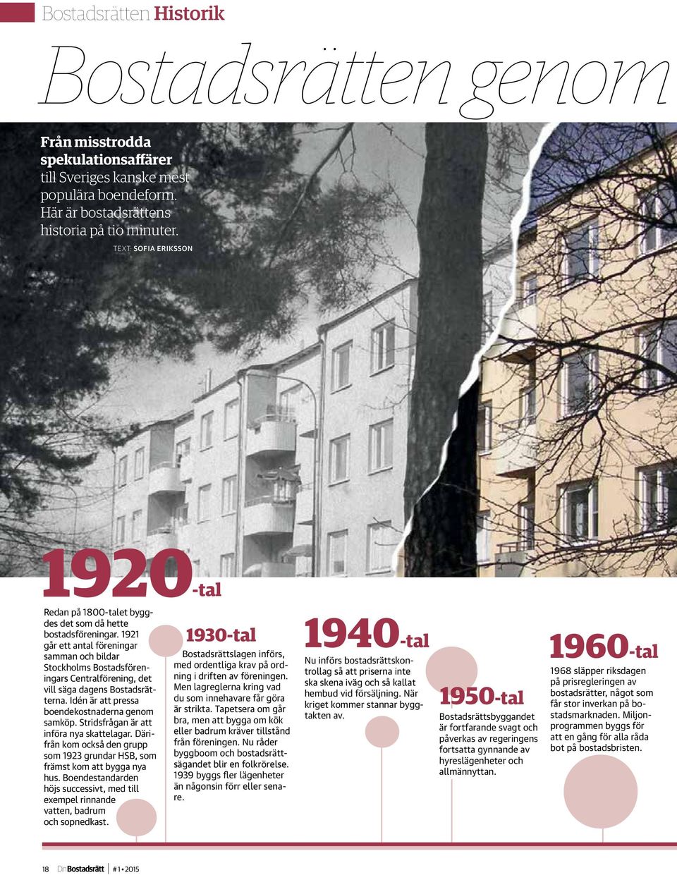 1921 går ett antal föreningar samman och bildar Stockholms Bostadsföreningars Centralförening, det vill säga dagens Bostadsrätterna. Idén är att pressa boendekostnaderna genom samköp.