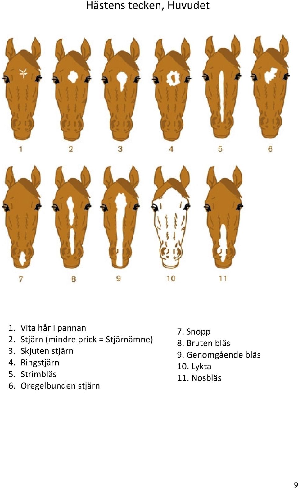 Bruten bläs 3. Skjuten stjärn 9. Genomgående bläs 4.