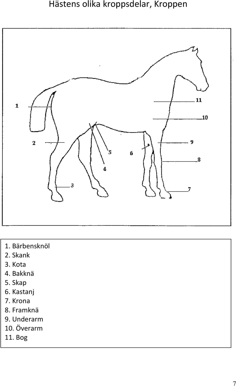 Bakknä 5. Skap 6. Kastanj 7. Krona 8.