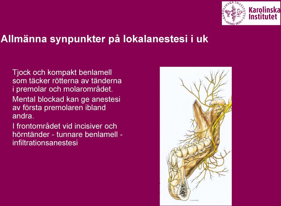 Mental blockad kan ge anestesi av första premolaren ibland andra.