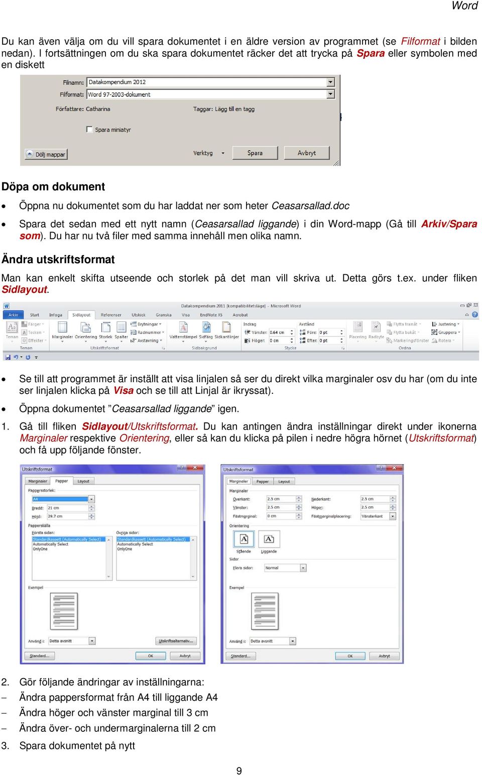 doc Spara det sedan med ett nytt namn (Ceasarsallad liggande) i din Word-mapp (Gå till Arkiv/Spara som). Du har nu två filer med samma innehåll men olika namn.