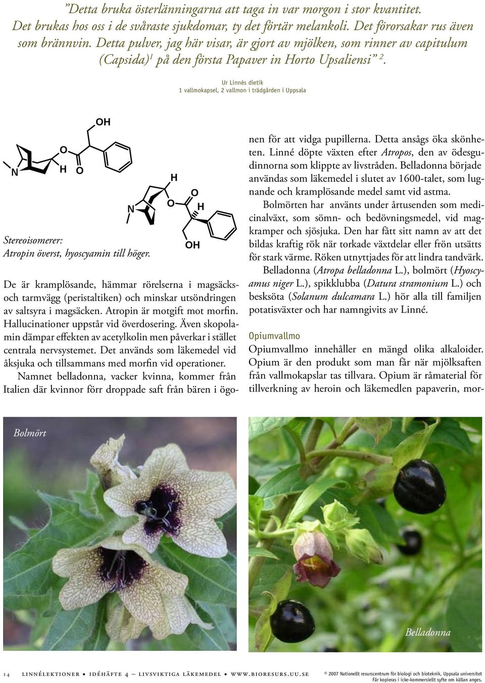 Ur Linnés dietik 1 vallmokapsel, 2 vallmon i trädgården i Uppsala OH O N N O H Atropin O OH O H OH N H O H Stereoisomerer: O O OH Atropin överst, hyoscyamin till (S)-(-)-hyoscyamin höger.