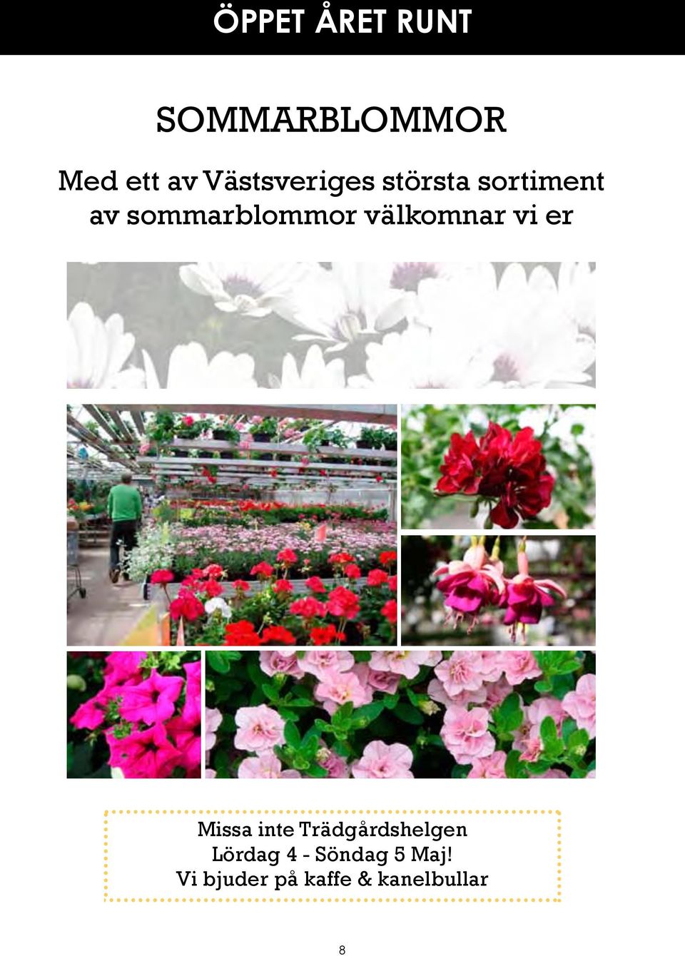 sommarblommor välkomnar vi er Missa inte